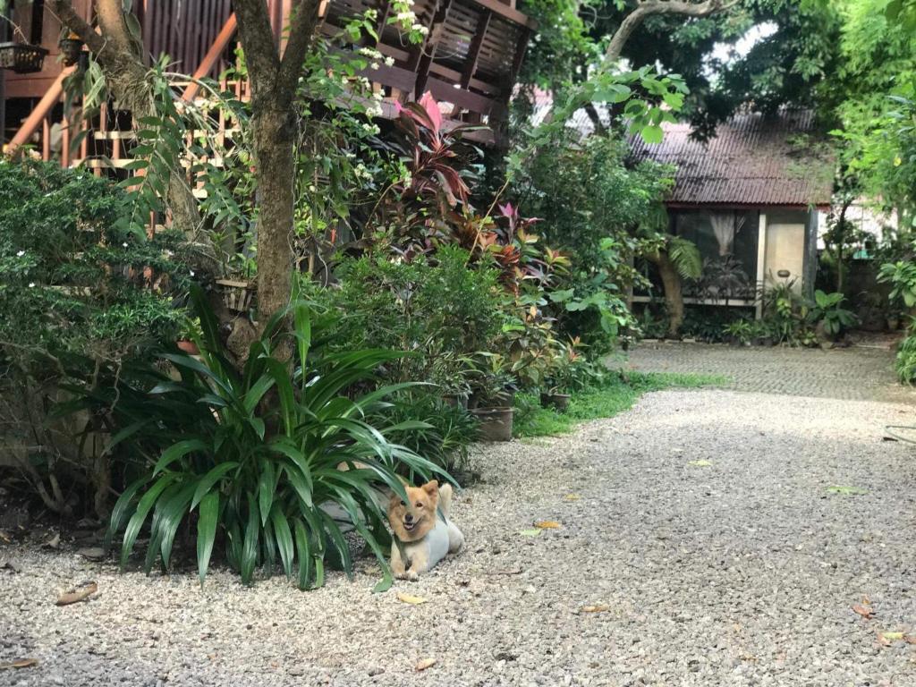 Baan Songjum