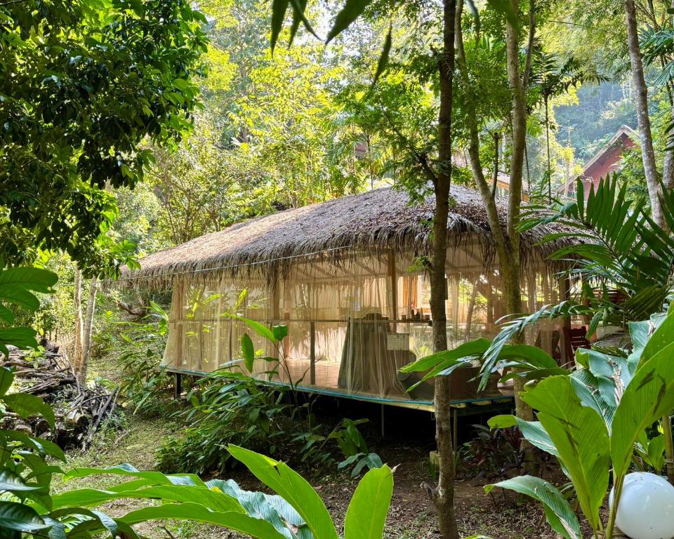 Maewin Guesthouse and Resort Maewin Guesthouse and Resort