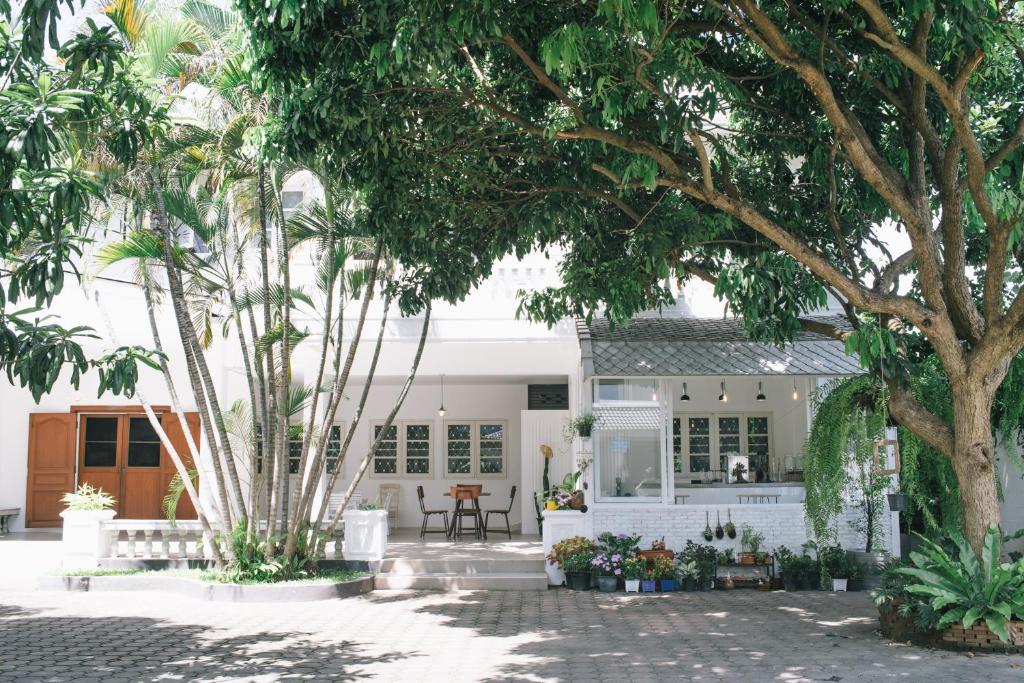 DoubleTree House DoubleTree House
