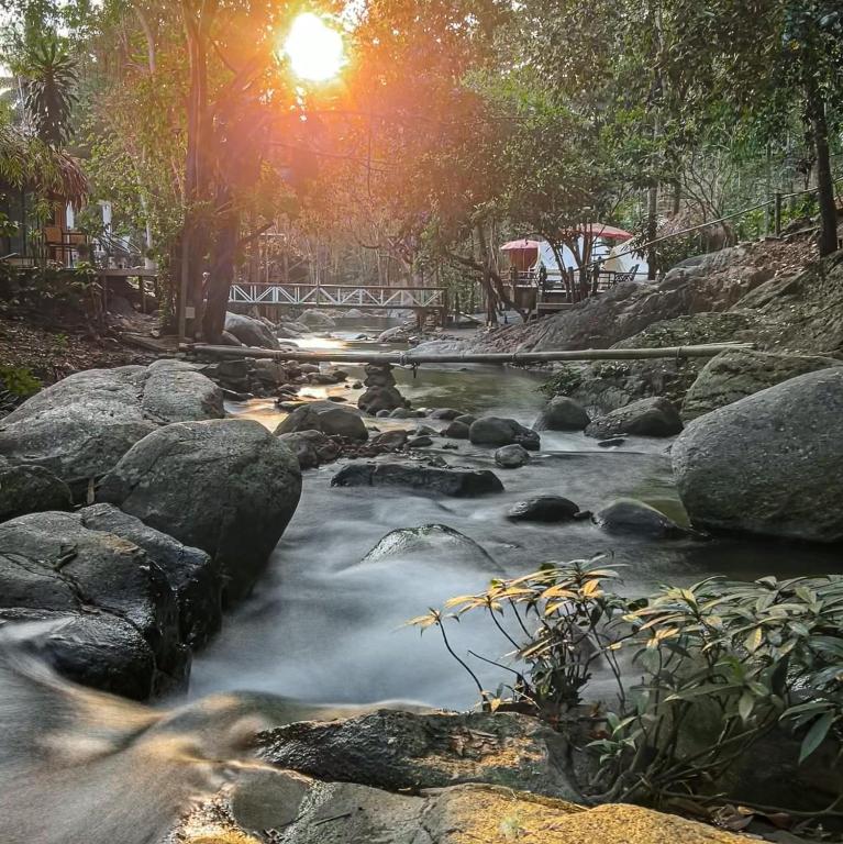 เดอะริเวอร์ แม่กำปอง The River Maekampong Chiang Mai เดอะริเวอร์ แม่กำปอง The River Maekampong Chiang Mai