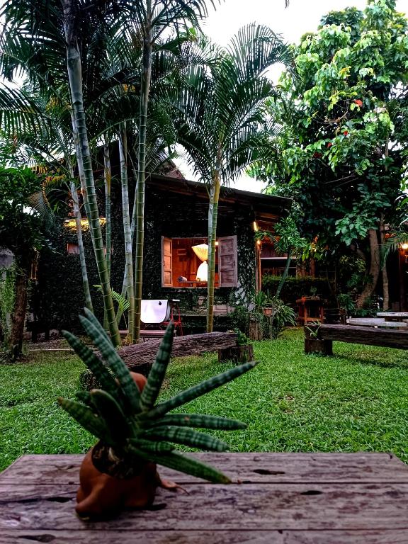 Cabinthai