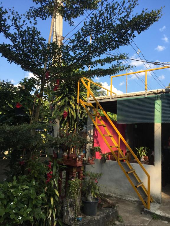 Thong Family Homestay Chiangdao