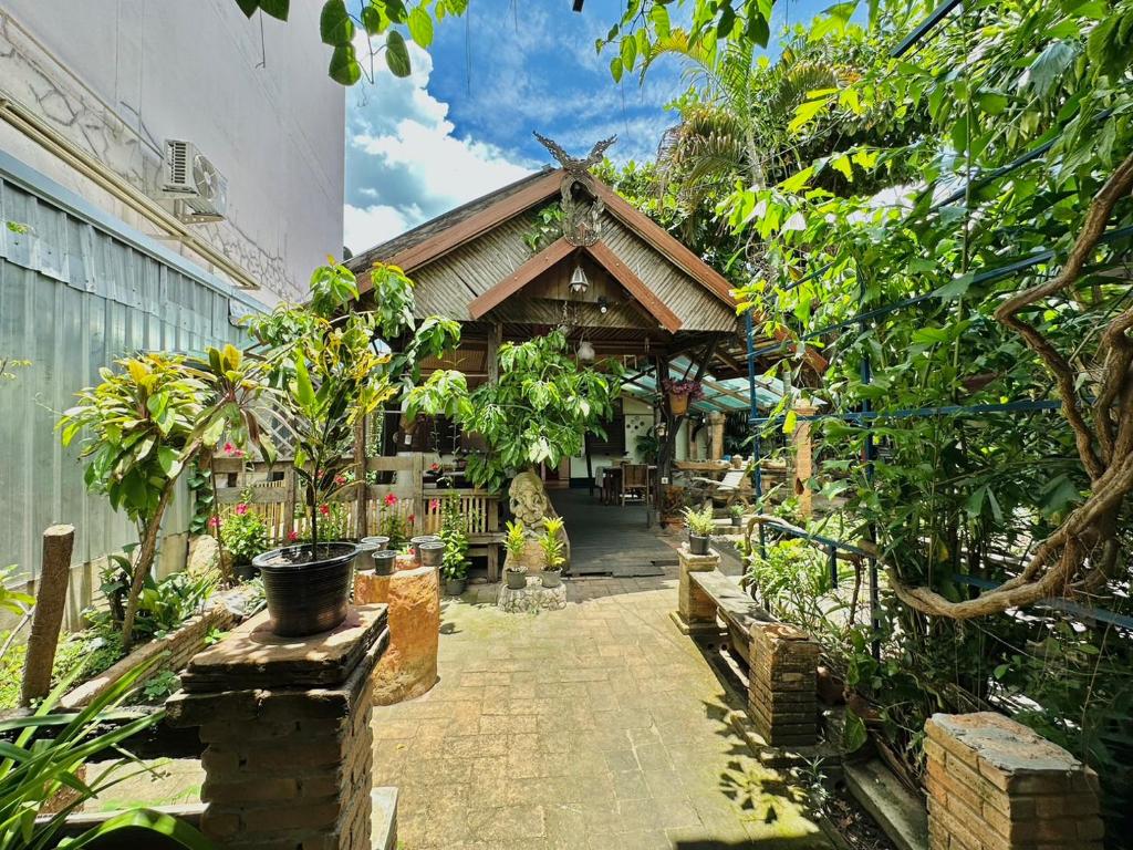 Cozy Nest CNX Cozy Nest CNX