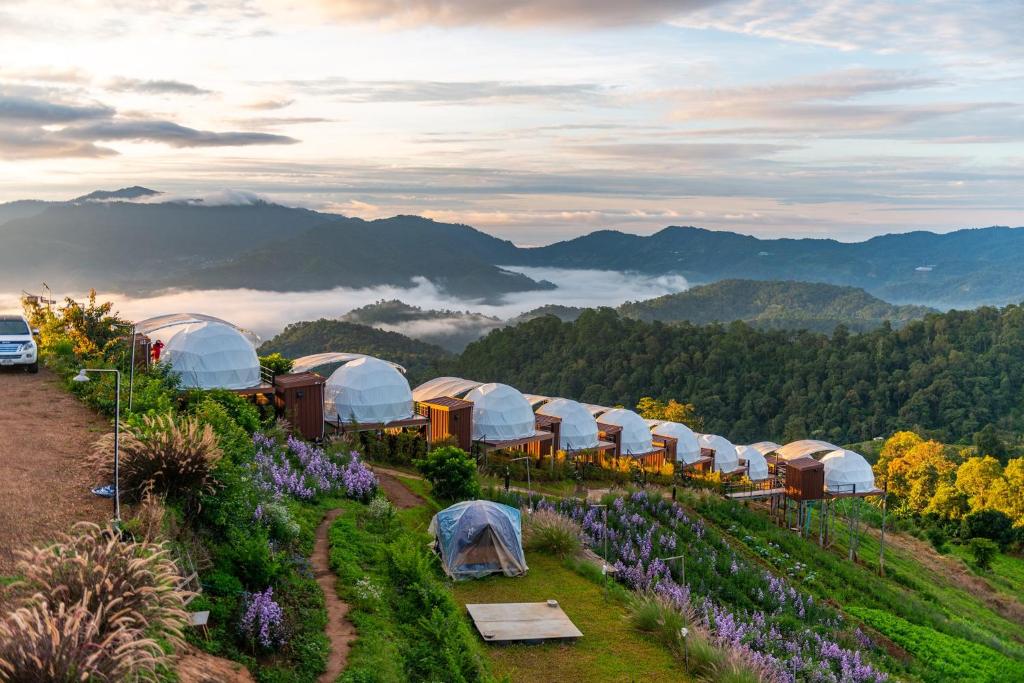 The View Homestay Monjam เดอะวิว โฮมสเตย์ม่อนแจ่ม The View Homestay Monjam เดอะวิว โฮมสเตย์ม่อนแจ่ม