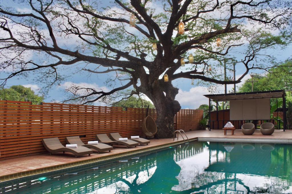 Bamboori Boutique Resort Bamboori Boutique Resort