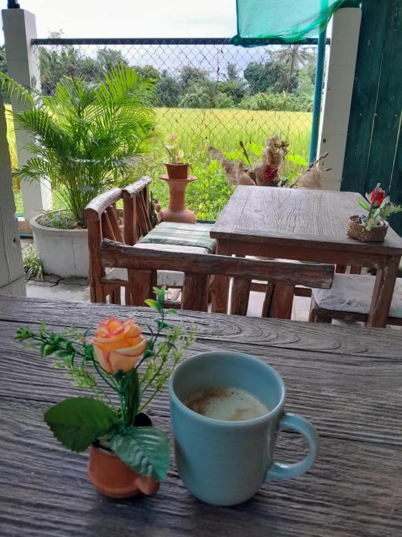 บ้านอังกาบ Aungkab homestay บ้านอังกาบ Aungkab homestay
