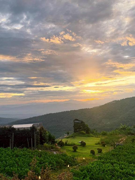 Phupetra ภูเปตรา Phupetra ภูเปตรา