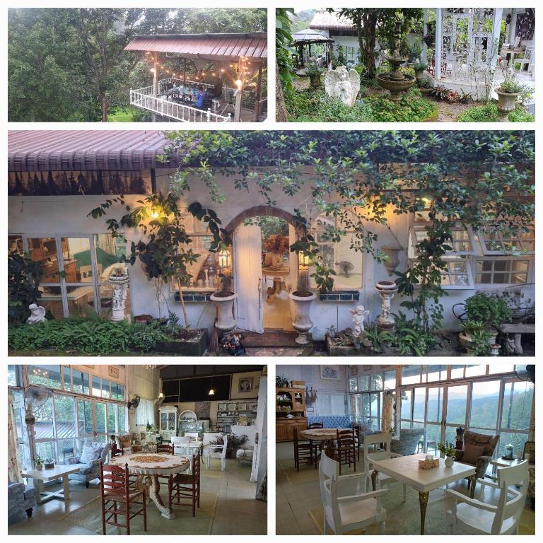 Balmy Hideout Cafe & Homestay