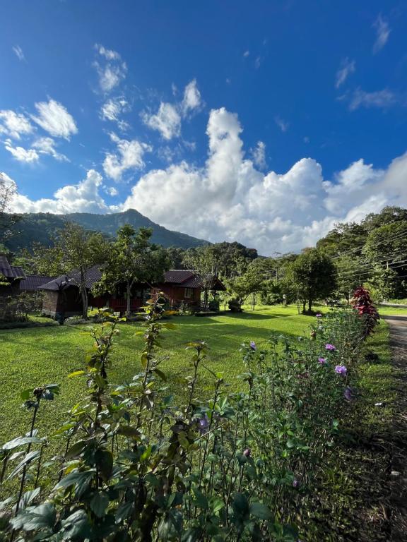 Aungha forest view บ้านวิวนา