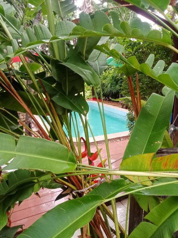 Saku Boutique Homestay Saku Boutique Homestay