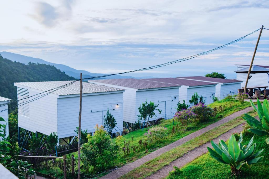 ไร่หมื่นล้านวิว เชียงใหม่ ไร่หมื่นล้านวิว เชียงใหม่