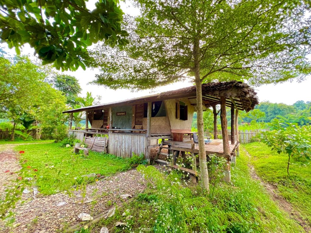 Wanmai Farm Stay Muangkong วันใหม่ฟาร์มสเตย์ เมืองคอง เชียงดาว