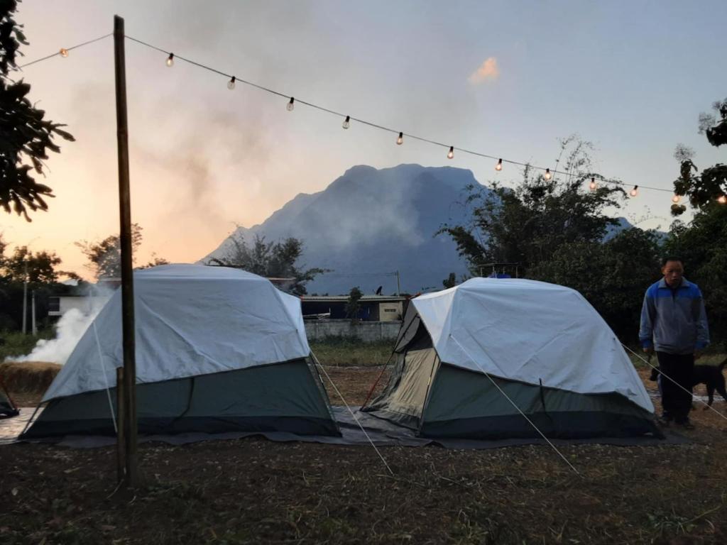 Natural camping