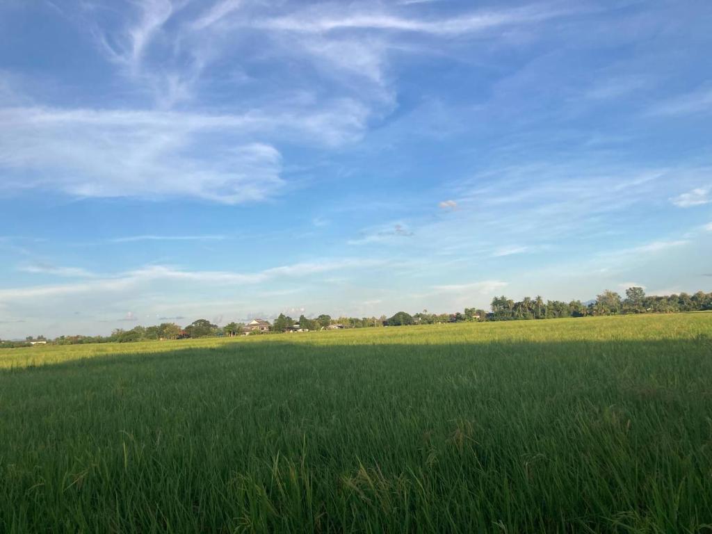 Huan Janto Homestay - Metta