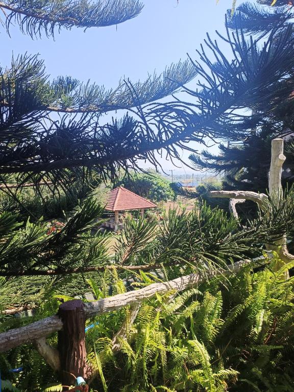 Monpimarn Homestay