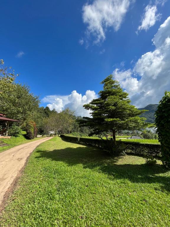 Angha forest view บ้านเพลินใจ Angha forest view บ้านเพลินใจ