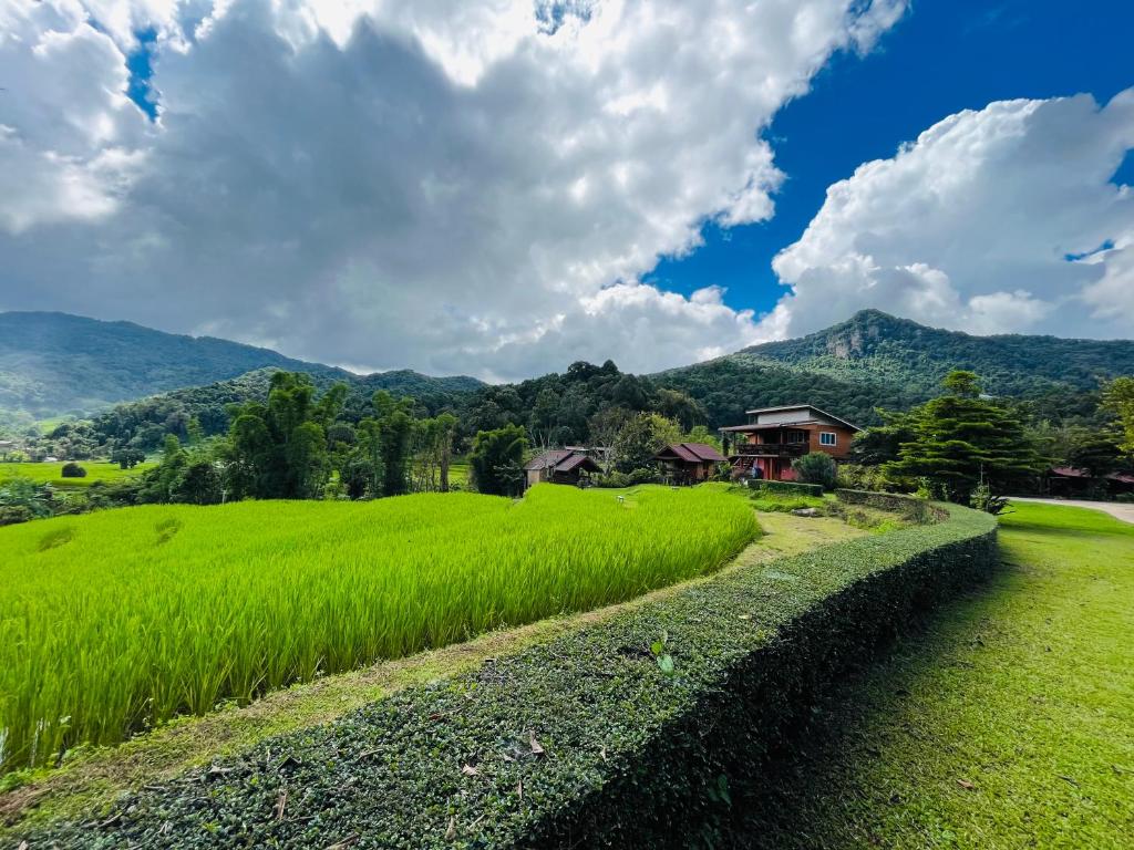 Angha forest view บ้านเพลินใจ Angha forest view บ้านเพลินใจ