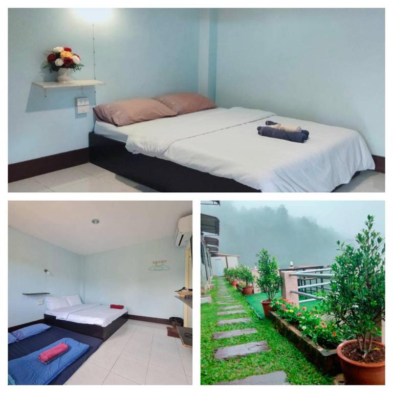 ม่อนหนาวSpecial room