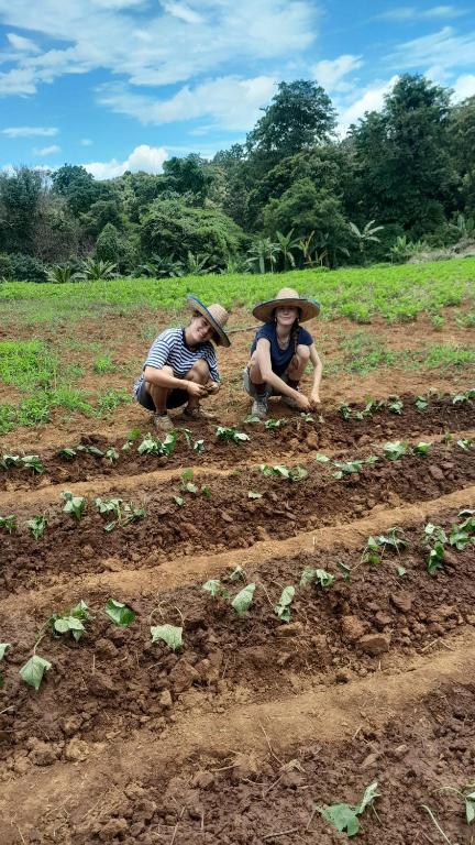Watchara organic farm Watchara organic farm