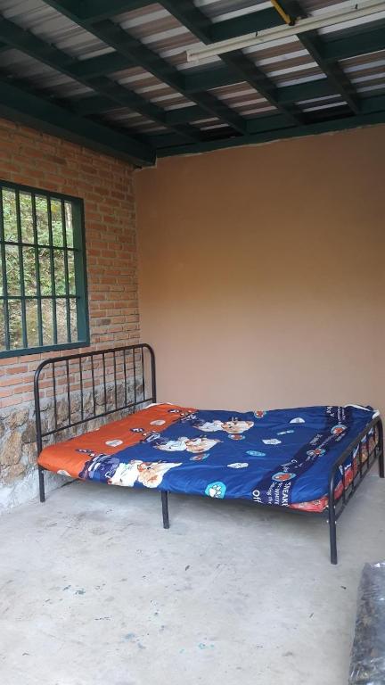 Coffee view camping ,Chiangmai Coffee view camping ,Chiangmai
