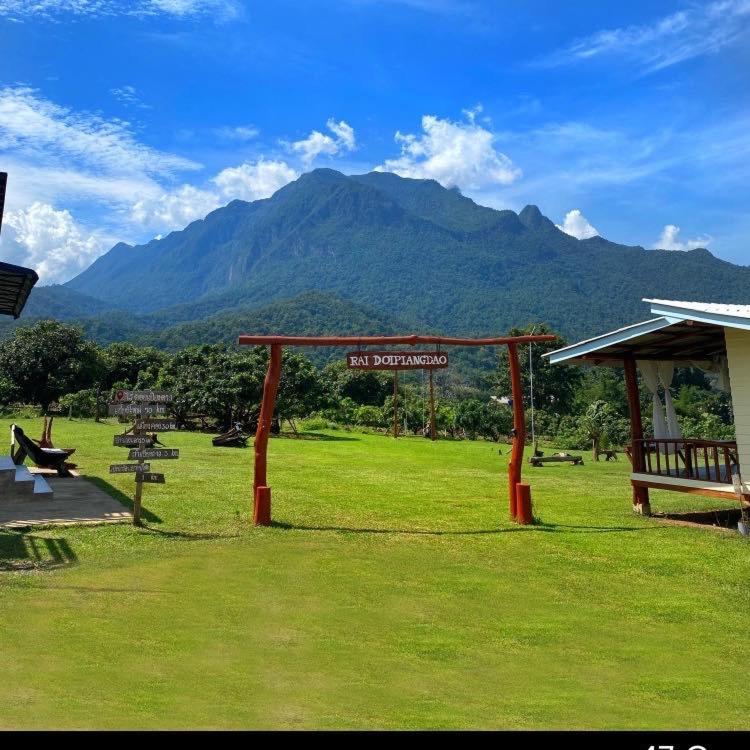 Doi Piang Dao Farm Doi Piang Dao Farm