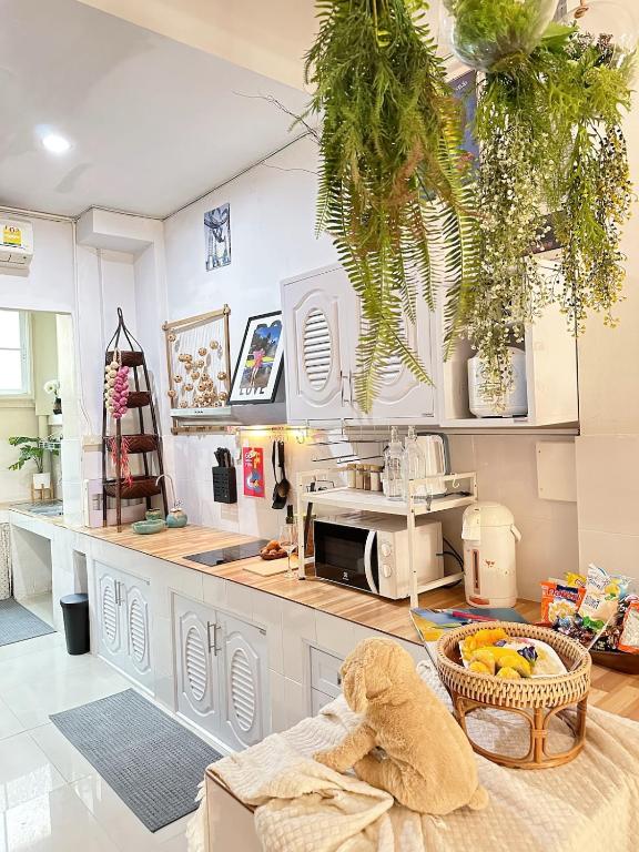 Candy house wua lai