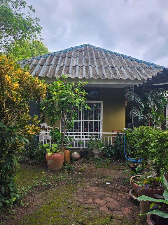 Green House