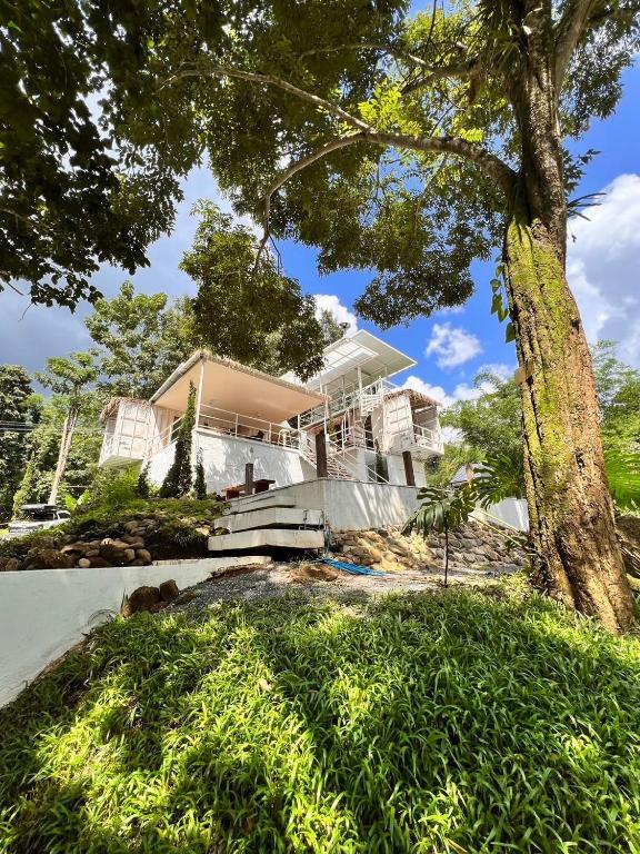 Chiang Mai Lazy House