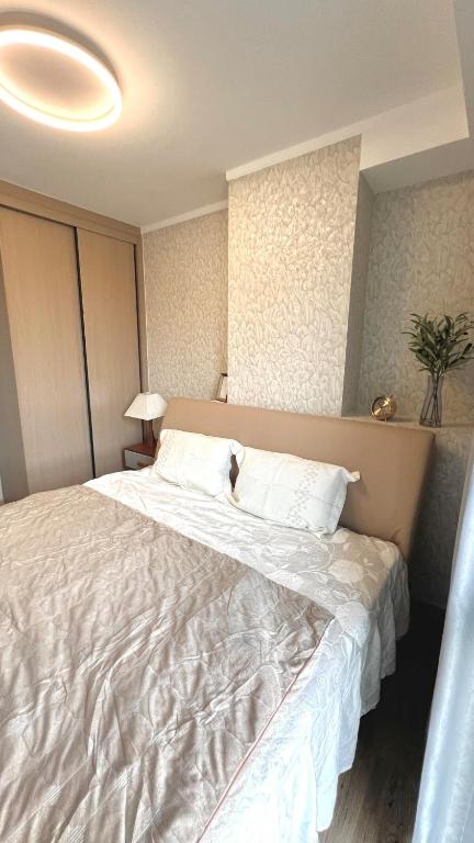 1 BR Luxury Condo in Chiang Mai near Central Festival